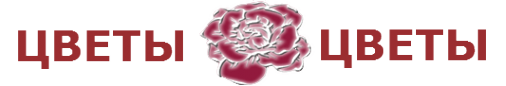 Логотип компании Цветы Цветы